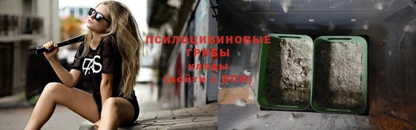 spice Дмитровск